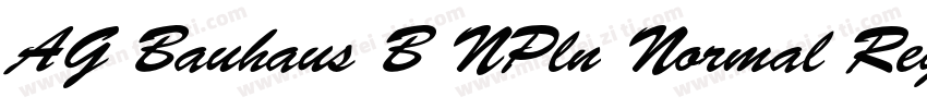 AG Bauhaus B NPln Normal Regular字体转换